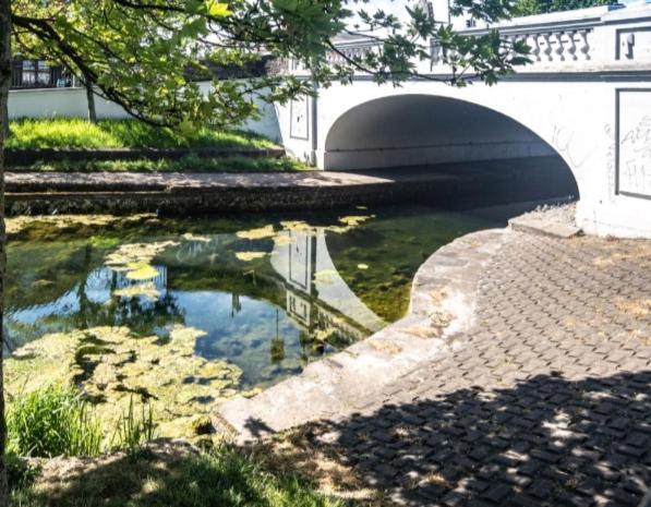 Dublin Canal Side — Photos 3